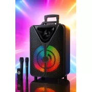 Бездротова караоке-колонка із двома мікрофонами SPS ZQS15123