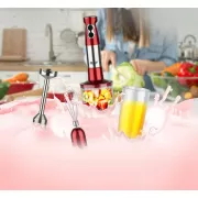 Блендер погружной RAF R-296 ручной 1000Вт