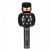 Беспроводной караоке микрофон с динамиком 5 тембров USB AUX FM Wster WS-2911