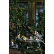 Садовая солнечная гирлянда на солнечной батарее в форме птиц 5шт 2+1,2 м Garden Line SOL6063