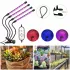 Светодиодная фитолампа Grow Light для выращивания растений, рассады Полный спектр 4 головы Светодиодная фитолампа Grow Light для выращивания растений, рассады Полный спектр 4 головы