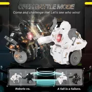 Бойові роботи