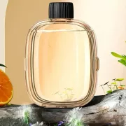 Эфирные масла (аромамасло) для диффузора 50мл V01Pro