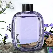 Эфирные масла (аромамасло) для диффузора 50мл V01Pro