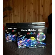 Гірлянда музична з динаміком USB 10 м