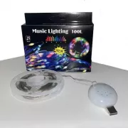 Гірлянда музична з динаміком USB 10 м