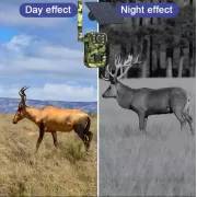 Камера для охоты на солнечной батарее A8S 4G, датчик движения, камуфляж