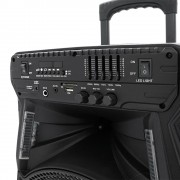 Колонка с микрофоном ZXX-7171 / Акустическая переносная колонка 600Вт 12