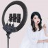 Кольцевая LED лампа RL-14 36см 220V 1 крепл.тел. + пульт + чехол