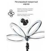 Кільцева LED лампа YQ-320B (30см) з утримувачем телефону для бьюті селфі зйомки Ring Light
