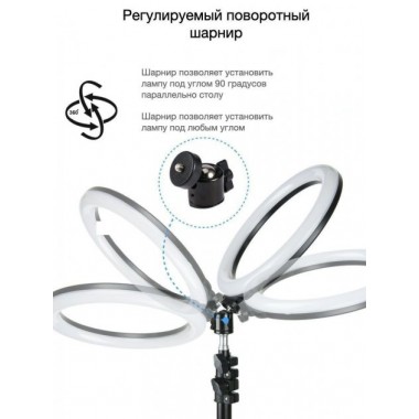 Кільцева LED лампа YQ-320B (30см) з утримувачем телефону для бьюті селфі зйомки Ring Light