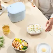 Ланч-бокс с подогревом объемом 1 л на два контейнера с крышками LY-800