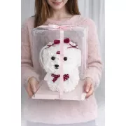 Мальтийская Болонка из 3D роз KR-22 24/24/30см