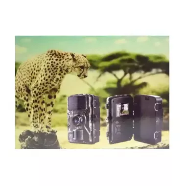 Мини видеорегистратор для охоты на батарейках, IP66, DL-001 / Охотничья видеокамера / Фотоловушка для охоты Мини видеорегистратор для охоты на батарейках, IP66, DL-001 / Охотничья видеокамера / Фотоловушка для охоты