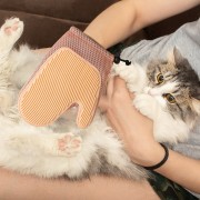 Рукавичка Масажна щітка для видалення вовни котів та собак із захистом від подряпин XL-147