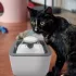 Поилка для животных Pet Water FOUNTAIN Автоматическая поилка - фонтан