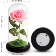 Роза в колбе с LED подсветкой на черной подставке