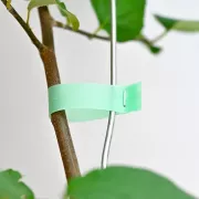 Скобы для садового подвязочного степлера 10000 шт, 6х4 мм, 604С / Упаковка скоб для тапенера