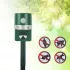 Солнечный ультразвуковой отпугиватель вредителей solar pest repeller Солнечный ультразвуковой отпугиватель вредителей solar pest repeller