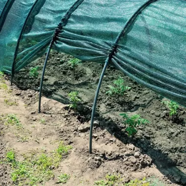 Солнцезащитная сетка для теплицы 3 метра Shadow 100 х 80, затенение 85%