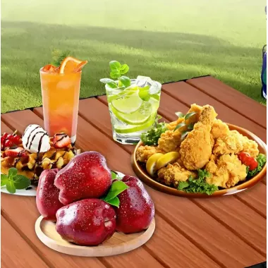 Стол складной STD-09 120х60см в чехле, туристический, для рыбалки коричневый