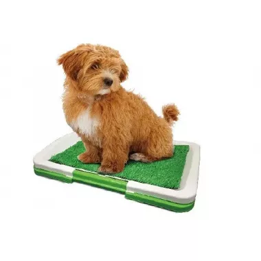 Туалет для собак Puppy Potty Pad MH-872