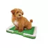 Туалет для собак Puppy Potty Pad MH-872