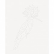 Книга-раскраска Зоометрия. Удивительные птицы Жорж 101048