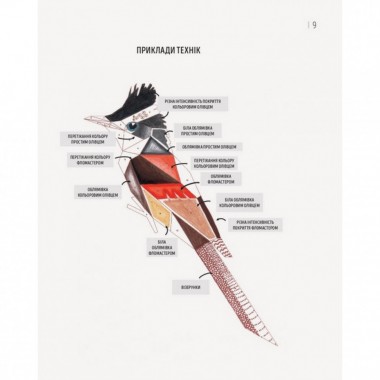 Книга-раскраска Зоометрия. Удивительные птицы Жорж 101048