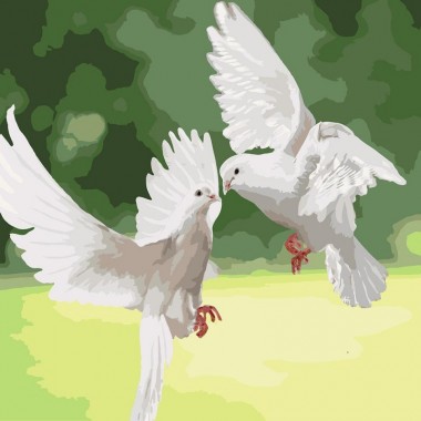 Картина по номерам Идейка Белоснежные голуби 40*40см KHO4149