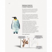 Книга-раскраска Зоометрия. Дикие животные Жорж 101047