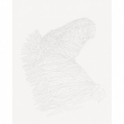 Книга-раскраска Зоометрия. Дикие животные Жорж 101047