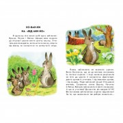 Книги для дошкільнят