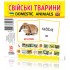 Карточки мини Домашние животные (110х110 мм) UA-ENG 65945
