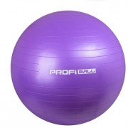 Мяч для фитнеса Profi Ball 65см Фиолетовый MS 1576P