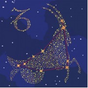 Картина по номерам Идейка Звездный знак Козерог с краской металлик 50*50см KH9510