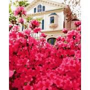 Картина по номерам Brushme Дом в цветах GX30186