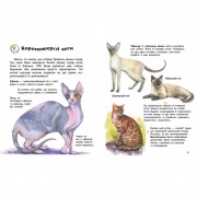 Енциклопедія дошкільника