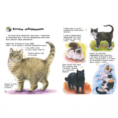 Энциклопедия дошкольника Коты 614039 для самых маленьких