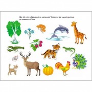 Развивающие тетради