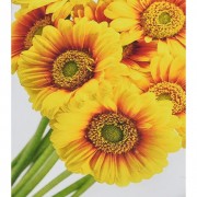 Алмазна мозаїка