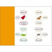 Развивающие тетради