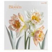 Зошит загальний 
