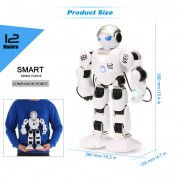 Робот Huixue Toys на радиоуправлении K1