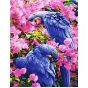 Картина по номерам Brushme Птицы в цветах GX25245