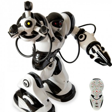 Робот Roboactor TT313