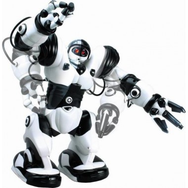 Робот Roboactor TT313