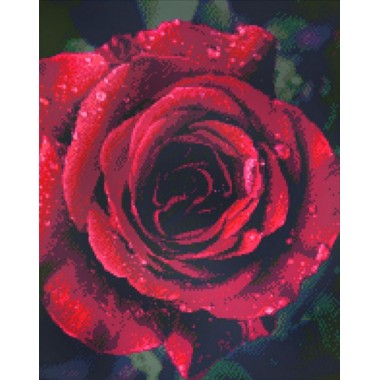 Алмазная мозаика Идейка Роза с каплями росы 40*50см AM6019