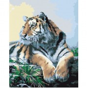 Картина по номерам Идейка Животные, птицы Гордый тигр 40х50см KHO2460
