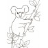 Большая книга раскрасок Ranok Creative: Животные (у) 670008